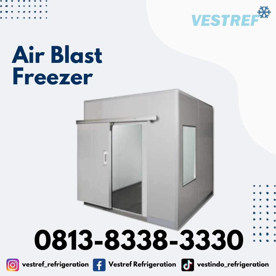 Air Blast Freezer 600 Kg